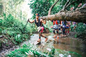 BIB: 
                            <button type="button" onclick="openModal(25514185)" class="btn btn-primary btn-sm float-right btn-popup" data-toggle="modal" data-target=".modal-high-quality">
                        <i class="fas fa-shopping-cart"></i> Add to Cart
                    </button>
                                            <button type="button" onclick="isThisMe(25514185, true)" class="btn btn-success btn-sm float-right btn-popup btn-isme hidden" data-toggle="tooltip" data-placement="bottom" title="นี่คือรูปของคุณใช่ไหม คลิกที่นี่เพื่อเอาเข้าอัลบั้ม">
                        <i class="fas fa-plus"></i> Add to album
                    </button>
                    <button type="button" onclick="isThisMe(25514185, false)" class="btn btn-warning btn-sm float-right btn-popup btn-isnotme hidden">
                        <i class="fas fa-ban"></i> Remove from album
                    </button>